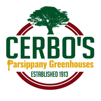Cerbo's Parsippany Greenhouse